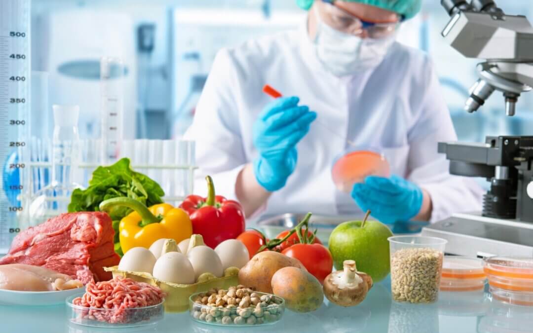 Alimentos GM e OGM Porque é que os devemos evitar?