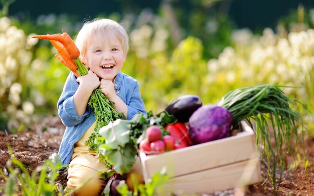 Alimentos biológicos para crianças